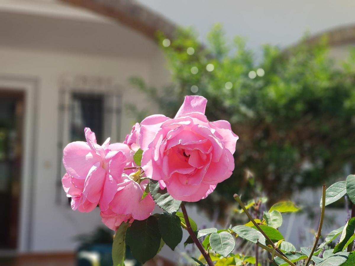 Villa Las Niñas Andalusian style Mijas Exterior foto